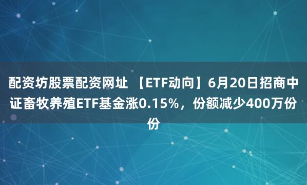 配资坊股票配资网址 【ETF动向】6月20日招商中证畜牧养殖ETF基金涨0.15%，份额减少400万份