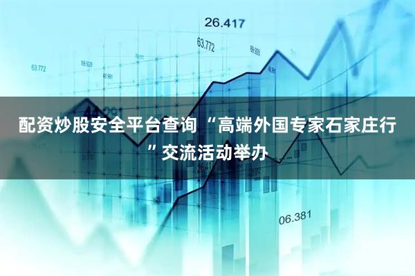 配资炒股安全平台查询 “高端外国专家石家庄行”交流活动举办
