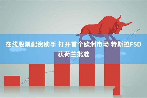 在线股票配资助手 打开首个欧洲市场 特斯拉FSD获荷兰批准