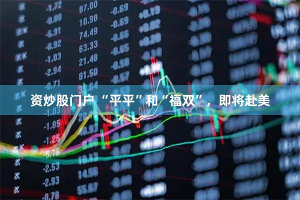 资炒股门户 “平平”和“福双”，即将赴美
